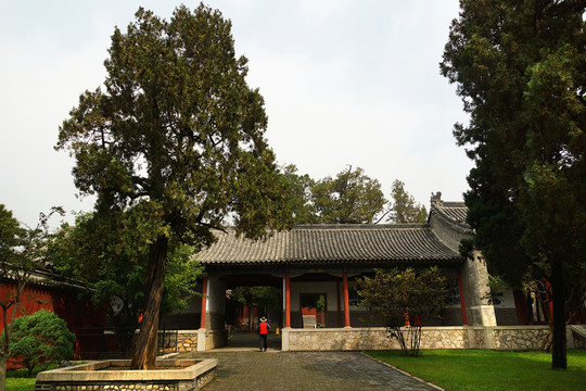 岱廟風(fēng)光