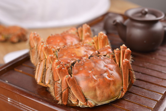 大閘蟹 陽澄湖大閘蟹