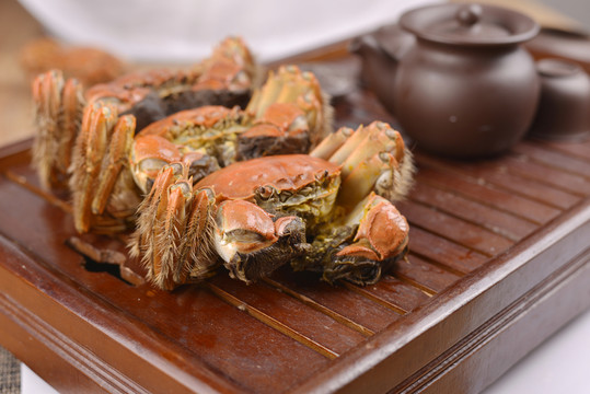 大閘蟹 陽澄湖大閘蟹