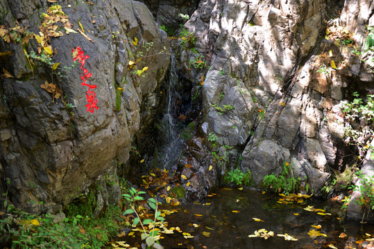 神泉峽風景區(qū)夢之泉