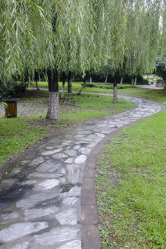 校園小路