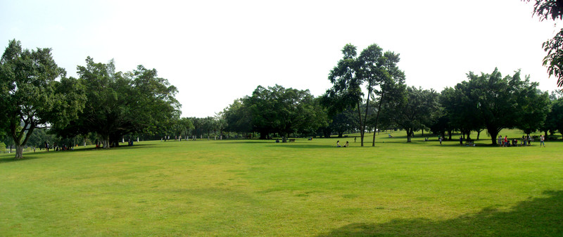 綠茵公園