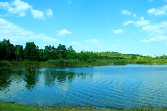 湖邊  濕地