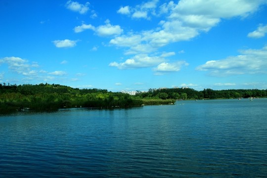 湖邊  濕地