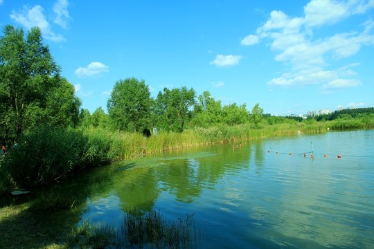 I濕地 湖水