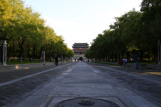 寬闊的公園大道