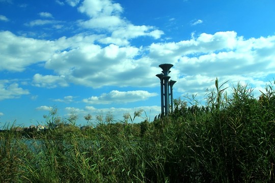 湖邊  濕地