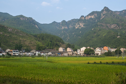 田園