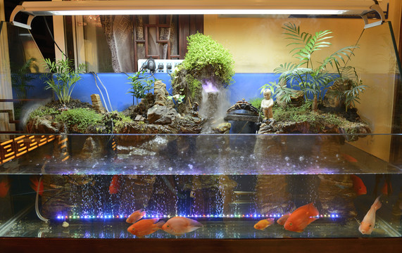 魚缸