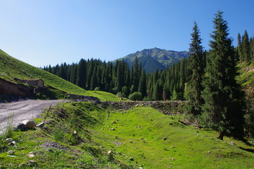 天山牧場