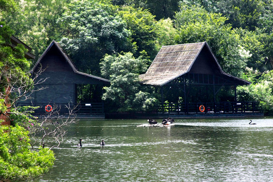 湖邊建筑亭子