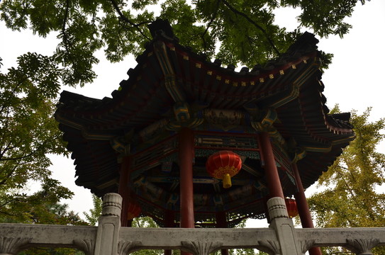 亭子仰拍