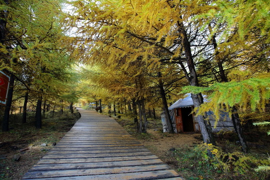 蘇木山