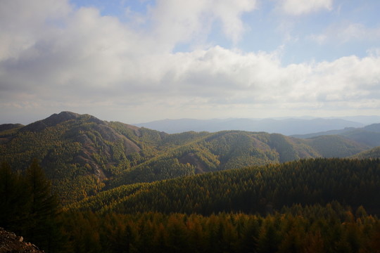 蘇木山