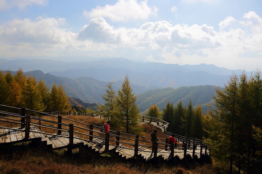 蘇木山