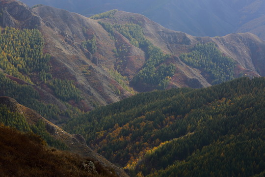 蘇木山