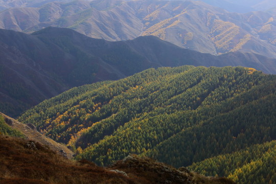蘇木山