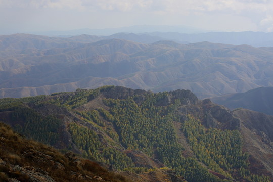 蘇木山