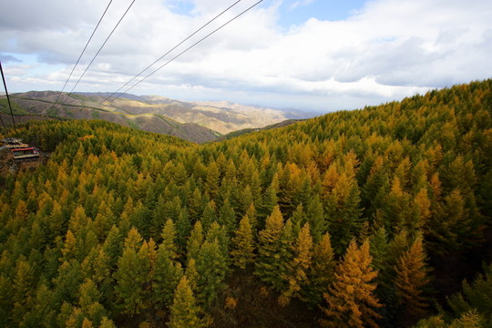 蘇木山