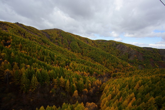 蘇木山