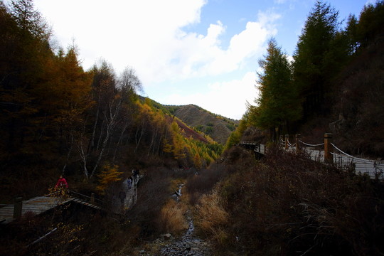 蘇木山