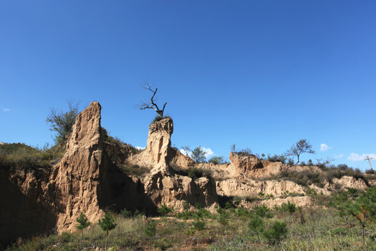 山