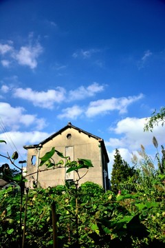 章堰古村