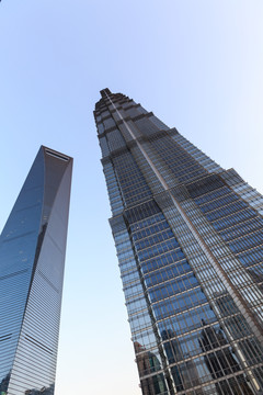 金茂大廈