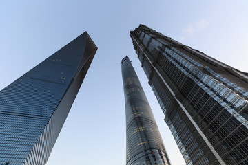 金茂大廈