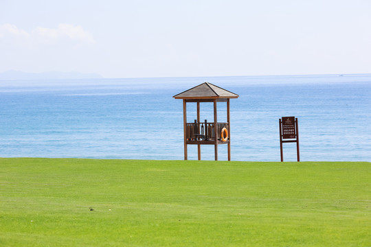 海邊草地