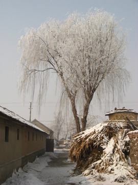 雪景 冬天 河流 橋 房頂