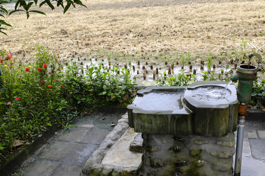 水龍頭