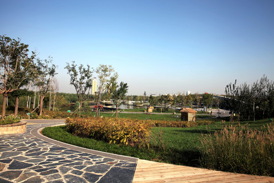 濕地公園