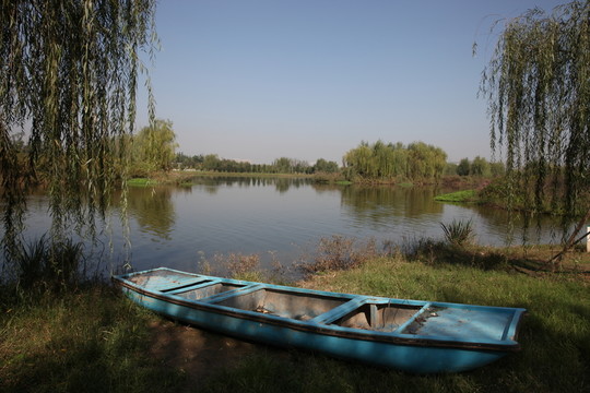 濕地公園