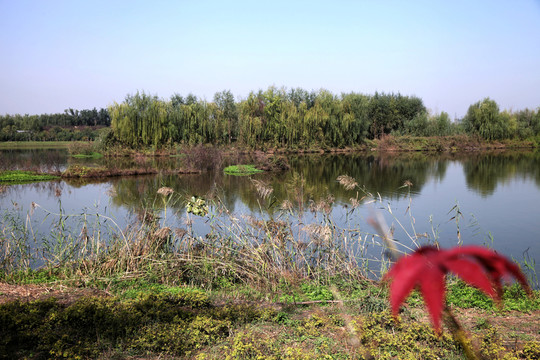 濕地公園