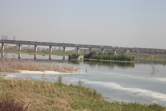 濕地公園