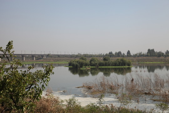 濕地公園