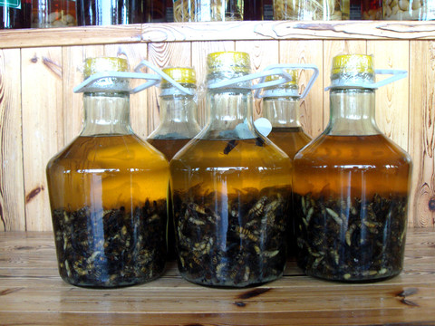 黃蜂酒