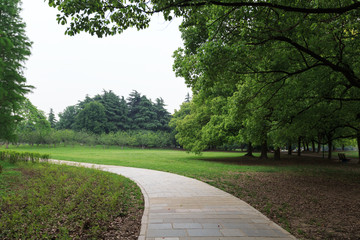 林間小路