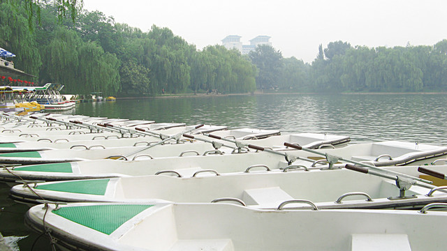小船 公園 劃船 紫竹院 湖