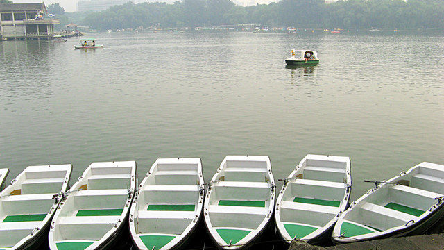 小船 公園 劃船 紫竹院 湖