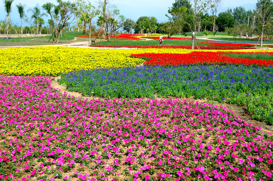 花園