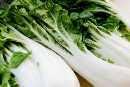近拍小白菜圖