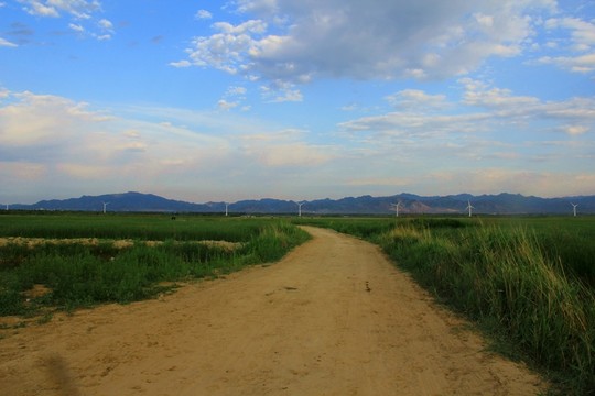 草原風(fēng)光