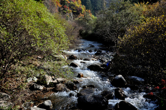 興隆山