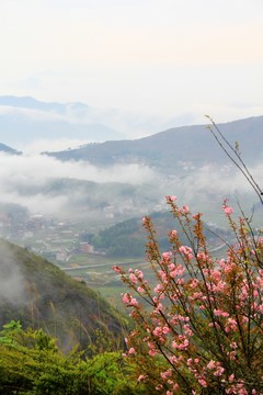 鄉(xiāng)村風(fēng)光
