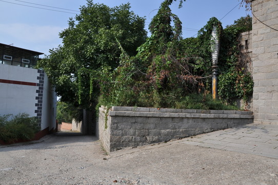 路