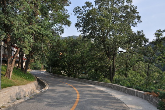 拐彎的公路