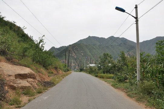 筆直的公路