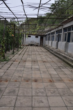 景區(qū)建筑